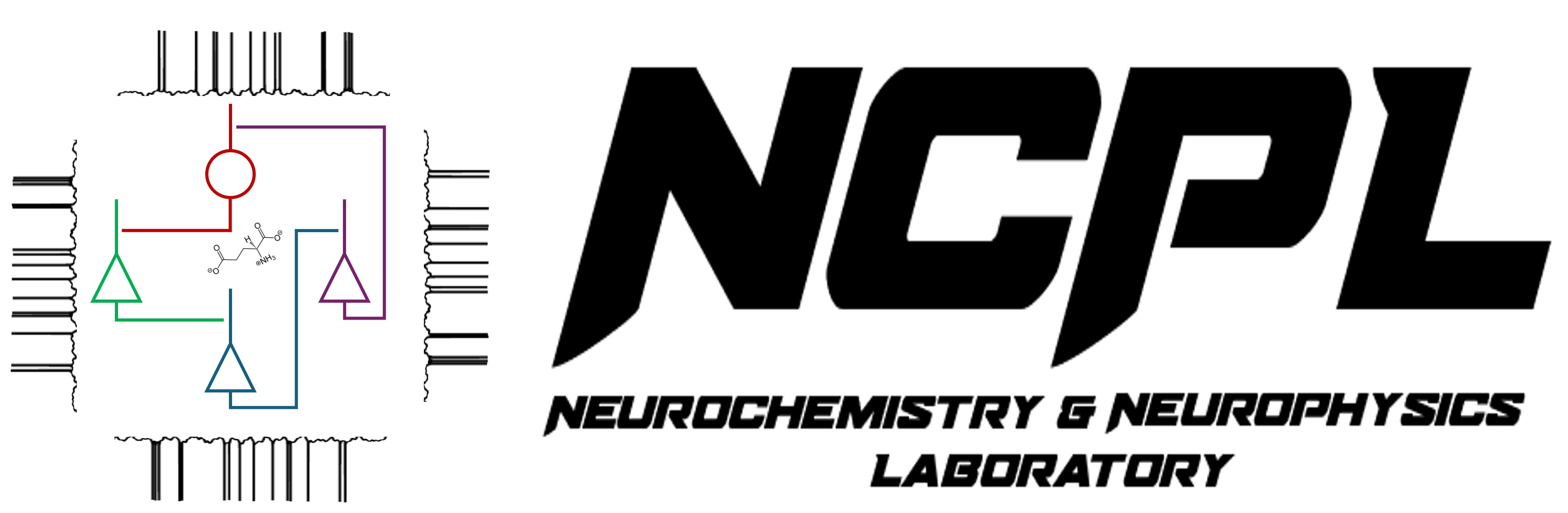 Neurochemistry and Neurophysics Laboratory logo